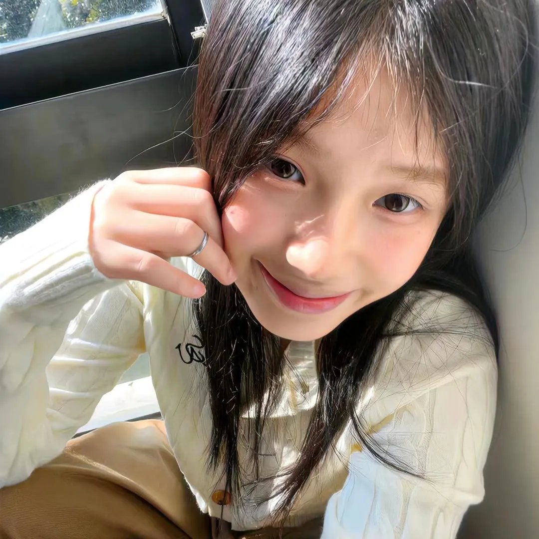 飞燕金枪